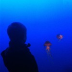 New York Aquarium New York Aquarium